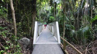 Orman köprüsünde yürüyen biri