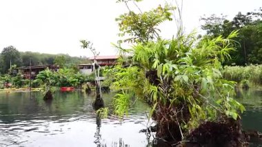 Kayakçılar yemyeşil sularla çevrili berrak suları keşfeder.