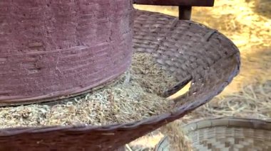 Tayland kırsalında elle pirinç öğütme işlemi
