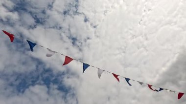 Bulutlu gökyüzüne karşı renkli kiraz kuşu