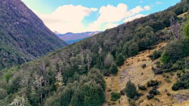 İnsansız hava aracı Glenorchy, Yeni Zelanda 'daki yemyeşil orman dağlarını yakalar. Parlak gün ışığı yeşil ve engebeli araziyi güçlendirir.