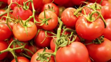Markette taze domatesler, yakın plan. 