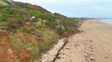 Hava görüntüleri Ocean Grove 'un manzaralı sahil şeridini, kumlu plajları, yemyeşil alanları ve yumuşak gün ışığında kıyı evlerini görüntüler.