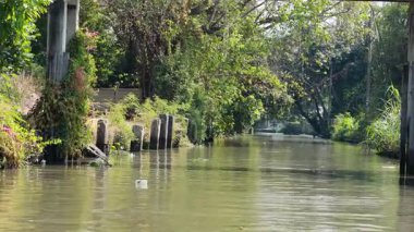 Bangkok 'ta ağaçlarla kaplı, bereketli bir kanal boyunca sakin bir tekne gezintisi, doğal güzellikleri ve yumuşak gün ışığında ince su kirliliğini gözler önüne seriyor.