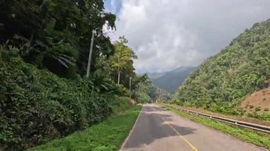 Yemyeşil Dağlar Arasında Dolaşan Yol