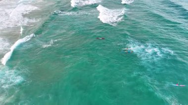 Turkuaz okyanus dalgalarında yüzen yunuslar.