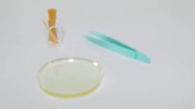 Litmus kağıdı yumurta akı çözeltisi testi