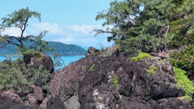 İnsansız hava aracı, Avustralya 'nın Port Douglas kentindeki berrak gökyüzü altında kayalık uçurumlar ve canlı mavi denizlerle bereketli kıyı manzaraları yakalıyor.