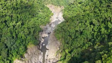 İnsansız hava aracı görüntüleri Port Douglas, Queensland 'da dolambaçlı bir nehri olan canlı yeşil bir kanyon yakalıyor. Parlak gün ışığı doğal güzelliği arttırır.