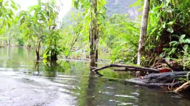 Bereketli Krabi sularında huzurlu bir kano yolculuğu.