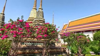 Turistler canlı çiçeklere ve tapınak kulelerine hayrandır.