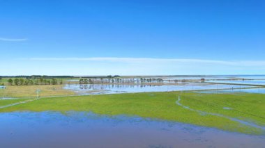 Akaroa, Yeni Zelanda 'da açık mavi gökyüzü altında canlı yeşil alanlar ve yansıtıcı su manzarası