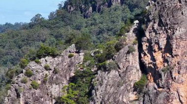 Drone footage captures the rugged rhyolite volcanic plugs surrounded by lush eucalyptus forest under bright daylight