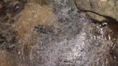 A dynamic stream flows over rocks in Mossman Gorge, showcasing natural textures and movement with soft, natural lighting