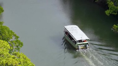 Aerial view of boat navigating mangrove-lined river