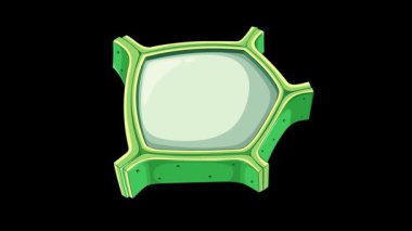 Animation illustrating plant cell anatomy with focus on endoplasmic reticulum, featuring detailed organelle transitions and vibrant colors