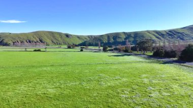 Aerial footage captures lush green fields and rolling hills under clear blue skies in Akaroa, New Zealand