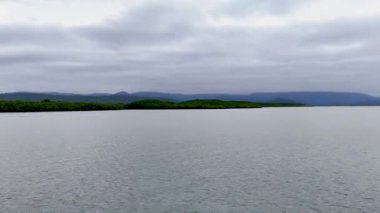 Drone footage captures the serene mangroves and coastline of Port Douglas, Australia, under overcast skies with smooth camera movement