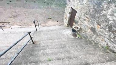 İkonik Forth Köprüsünü görüntülemek için inen adımlar