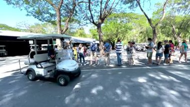 Golf arabası ziyaretçilerle hayvanat bahçesinden geçiyor.