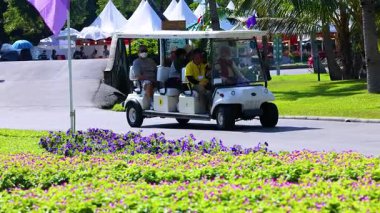 İnsanlar parkta golf arabasının keyfini çıkarıyorlar.