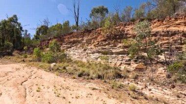 Ağaçlı ve berrak gökyüzü