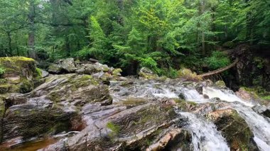 Akan şelale yemyeşil ormanlarla çevrili.