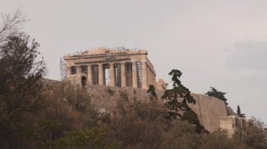 Partenon ağaçların üzerinde uçan kuşla