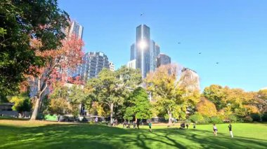 İnsanlar parkta güneşli bir günün tadını çıkarıyorlar.