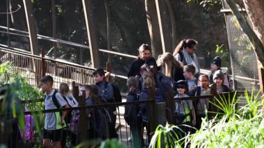 Hayvanat bahçesinde hayvan gözlemleyen çocuklar ve yetişkinler