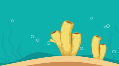 Sünger aseksüel ve cinsel üreme