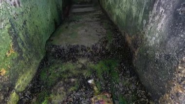 Yosunlu, dar bir taş geçitten geç