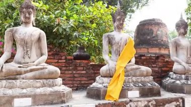 Ayutthaya 'da sarı kuşaklı Buda heykelleri