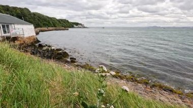 Berrak yeşillikle sakin sahil manzarası