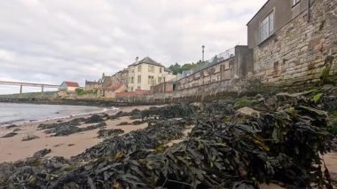 Deniz yosunlarıyla kaplı plaj binalar ve köprünün yanında