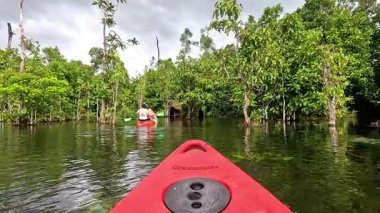 Kırmızı bir kanoyla yemyeşil su yollarını keşfediyorum.