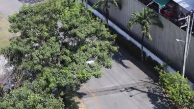 Araç ağaçlık bir otoparkta yol alıyor.