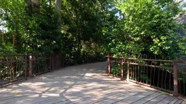 Melbourne Hayvanat Bahçesi 'nde hayvan barınağına giden yol.