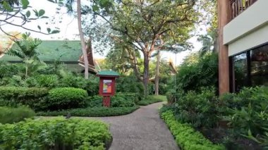 Yeşil bir bahçe yolunda huzurlu bir yürüyüş.