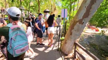 Bir grup insan Chonburi, Tayland 'da bir hayvanat bahçesini araştırıyor, gün ışığında etraftaki hayvanları gözlemliyorlar.