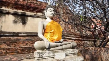 Ayutthaya 'da sarı cüppeli Buda heykeli