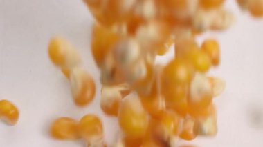 Mısır taneleri bir yüzeye taşarak dokulu, altın bir katman oluşturuyor. Parlak ışıklandırma çekirdeklerin doğal rengini vurgular