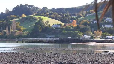 Akaroa 'daki yemyeşil tepeler ve sakin sular