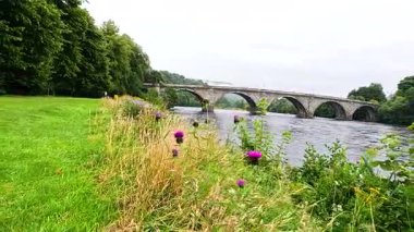 Köprü ve yeşillikle huzurlu nehir manzarası