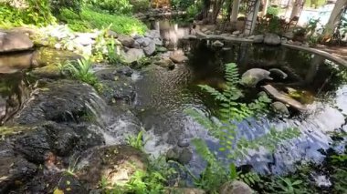 Bereketli bir bahçede huzurlu bir su özelliği.