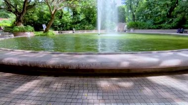 Bereketli yeşilliklerle çevrili sakin bir çeşme