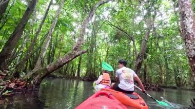 Serin bir kano yolculuğunda yemyeşil mangrovları keşfediyorum.
