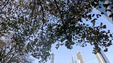 Arka planda gökdelenlerle Melbourne 'da tren hareket ediyor