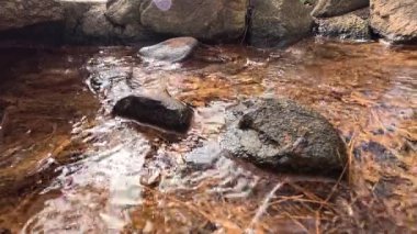 Taşların ve yaprakların üzerinden akan temiz su