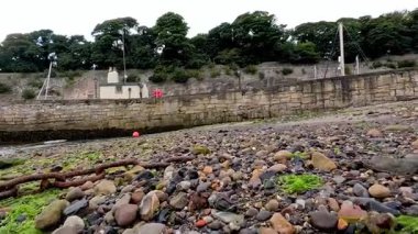 Limanı ve yeşilliği olan çakıl taşlı plaj.